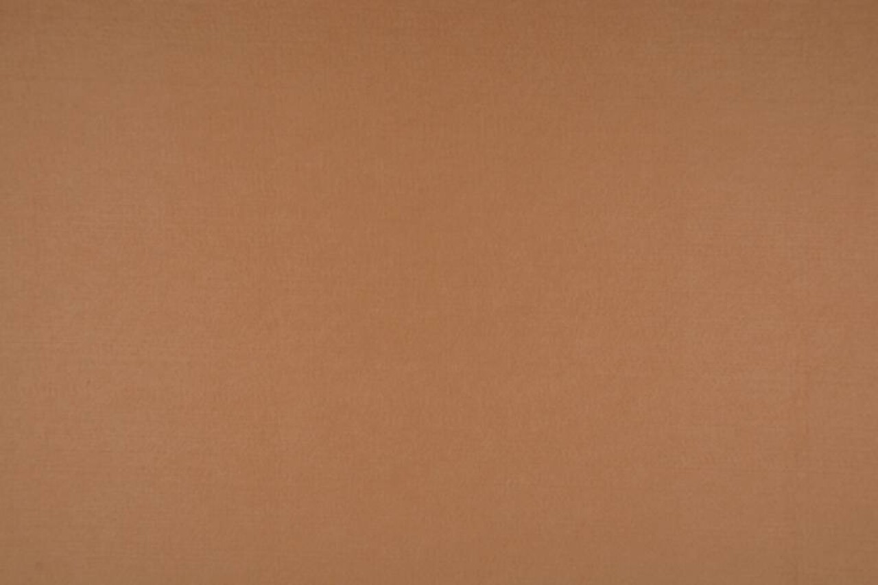 Korean Felt 3 mm Light camel