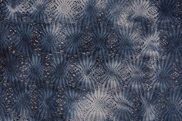 Laceia Lace