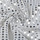 Sequins on Lurex Silver