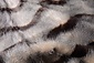 Fausse Fourrure Taupe Fausse Fourrure Taupe