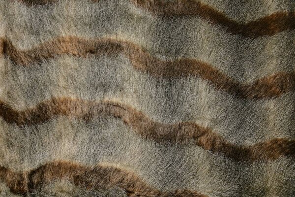 Imitationfur Brown Imitationfur Brown