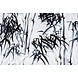 Effetto Lino Stampato Bamboo Plant Effetto Lino Stampato Bamboo Plant
