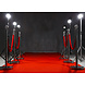 Roter Teppich - 1 Meter breit Roter Teppich - 1 Meter breit