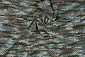 Heavy bouclé Groen Heavy bouclé Groen