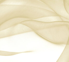 Organza Licht goud