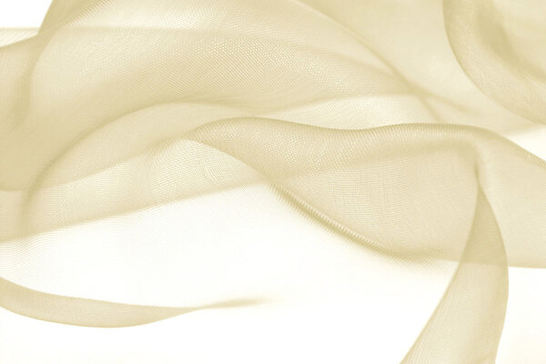 Organza Oro Chiaro Organza Oro Chiaro