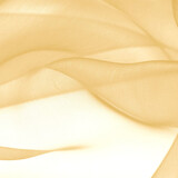 Organza Or Organza Or