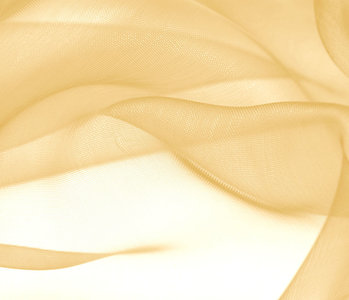 Organza Goud