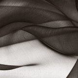 Organza Marrone Scuro Organza Marrone Scuro