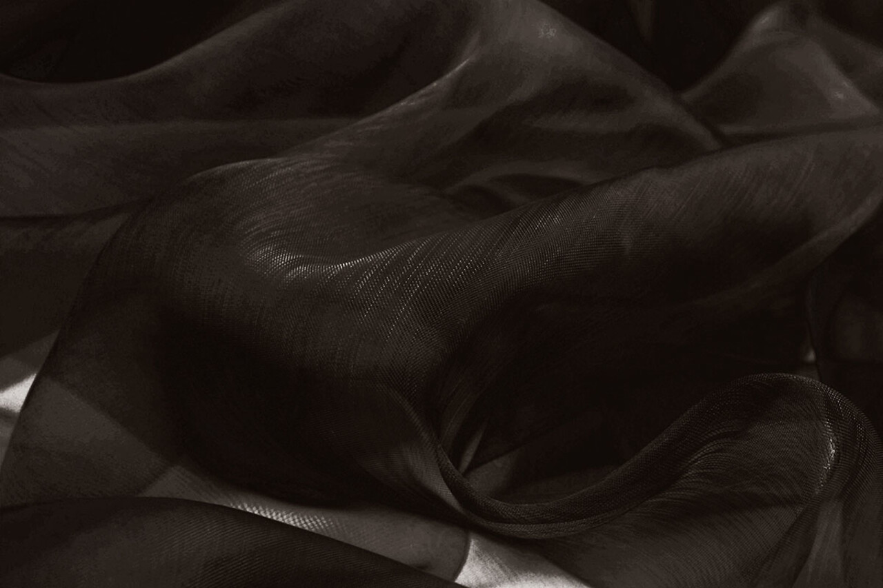 Organza Dark brown Organza Dark brown