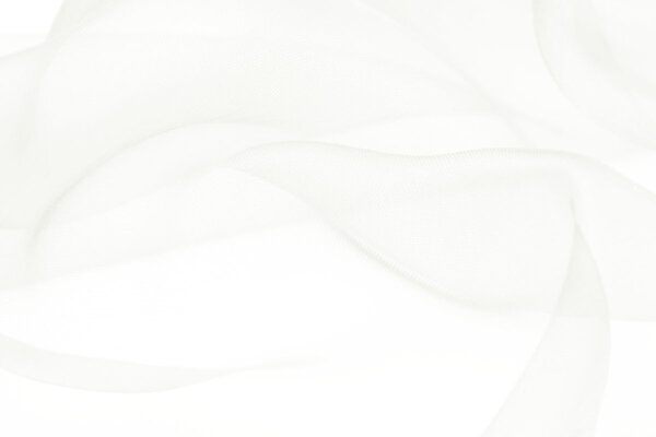 Organza Creme Organza Creme