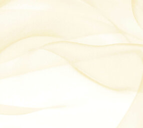 Organza Beige