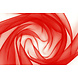 Organza Rosso Organza Rosso