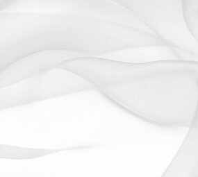 Organza Silver