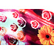 100% Viscosa Digitale Stampa Gerbera e Rose Rosso 100% Viscosa Digitale Stampa Gerbera e Rose Rosso
