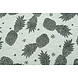 Mi & Joe Mi & Joe Jersey Coton Ananas Pistache Melange Mi & Joe Mi & Joe Jersey Coton Ananas Pistache Melange
