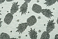 Mi & Joe Jersey Stoff Baumwolle Ananas Pistache Meliert