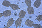 Mi & Joe Jersey Stoff Baumwolle Ananas Dunkel jeans Meliert Mi & Joe Jersey Stoff Baumwolle Ananas Dunkel jeans Meliert