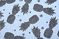 Mi & Joe Jersey Stoff Baumwolle Ananas Hellblau Meliert Mi & Joe Jersey Stoff Baumwolle Ananas Hellblau Meliert