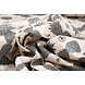 Mi & Joe Mi & Joe Cotone Jersey Ananas Beige Mélange Mi & Joe Mi & Joe Cotone Jersey Ananas Beige Mélange