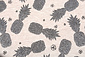 Mi & Joe Cotton Jersey Ananas Beige melange Mi & Joe Cotton Jersey Ananas Beige melange
