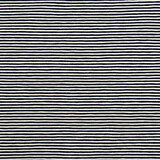 Cotton Jersey Small Stripe Navy Creme