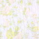 Stretch lace Hilo White Green