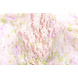 Stretch Dentelle Hilo Rose Vert Stretch Dentelle Hilo Rose Vert