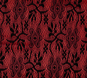 Lace on Charmeuse Red Lace on Charmeuse Red