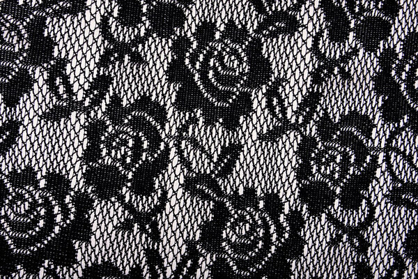 Lace on Charmeuse Beige