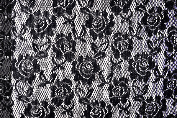 Lace on Charmeuse Beige