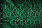 Lace on Charmeuse Green Lace on Charmeuse Green