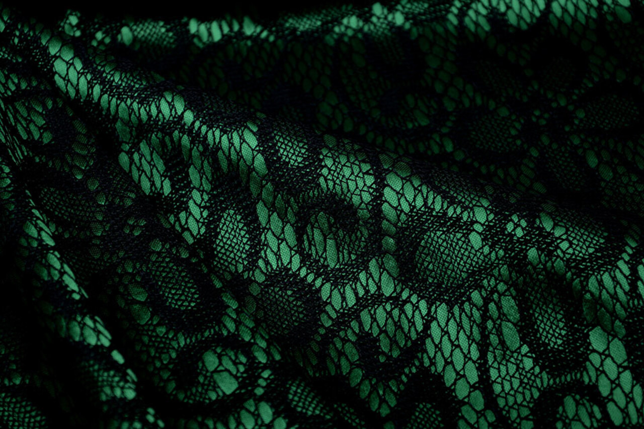 Lace on Charmeuse Green
