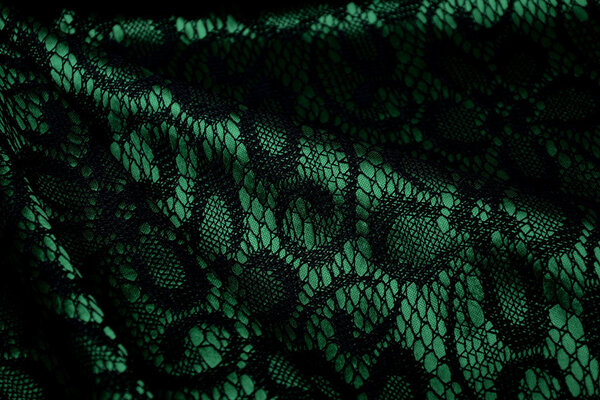 Lace on Charmeuse Green