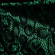 Lace on Charmeuse Green