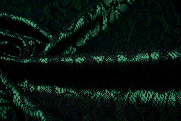 Lace on Charmeuse Green