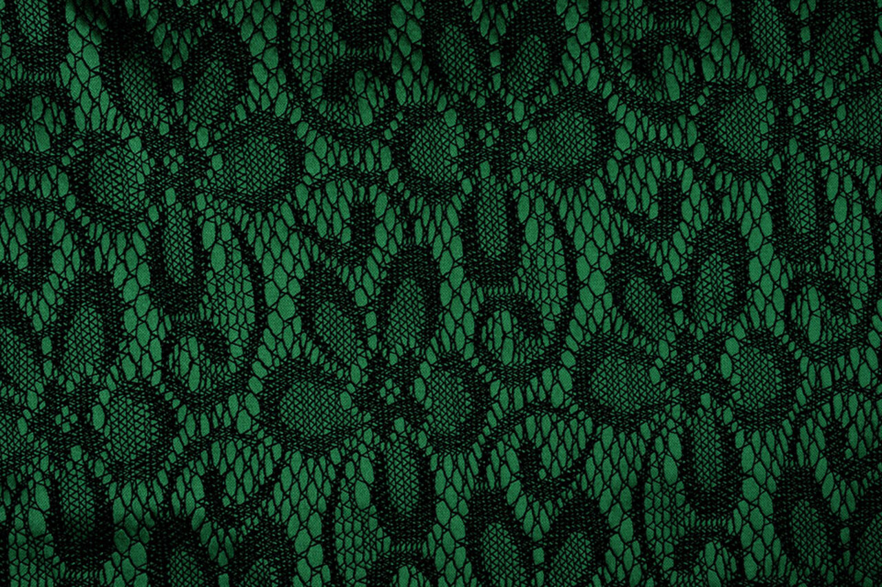 Lace on Charmeuse Green