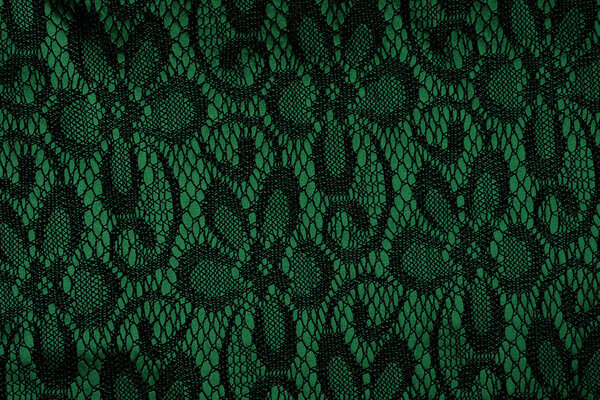 Lace on Charmeuse Green