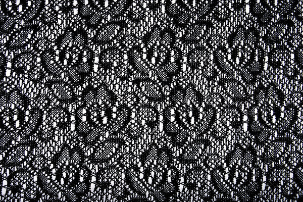 Lace on Charmeuse Silver