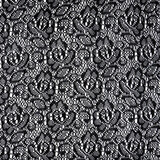 Lace on Charmeuse Silver Lace on Charmeuse Silver