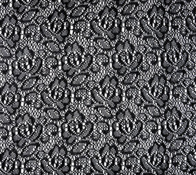 Lace on Charmeuse Silver