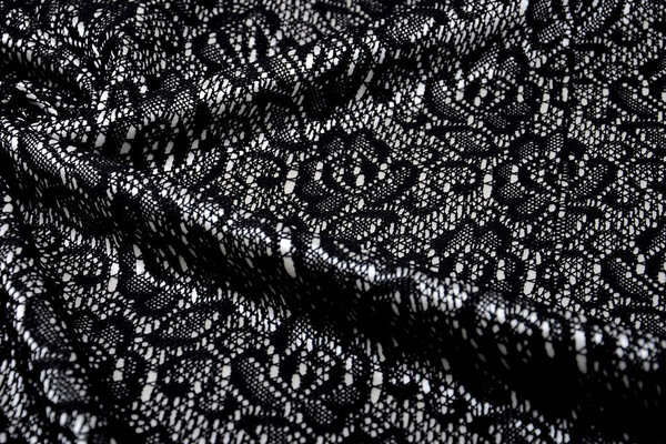 Dentelle sur Charmeuse Argent Dentelle sur Charmeuse Argent