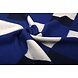 Tessuto di Lana a Maglia Geblokt Blu Cobalto Tessuto di Lana a Maglia Geblokt Blu Cobalto