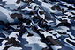 Armee Polyester Baumwolle Marineblau