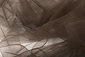Tulle de Mariée Peat