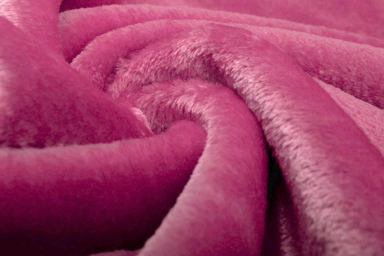 Kortharige Teddy Bont Fuchsia