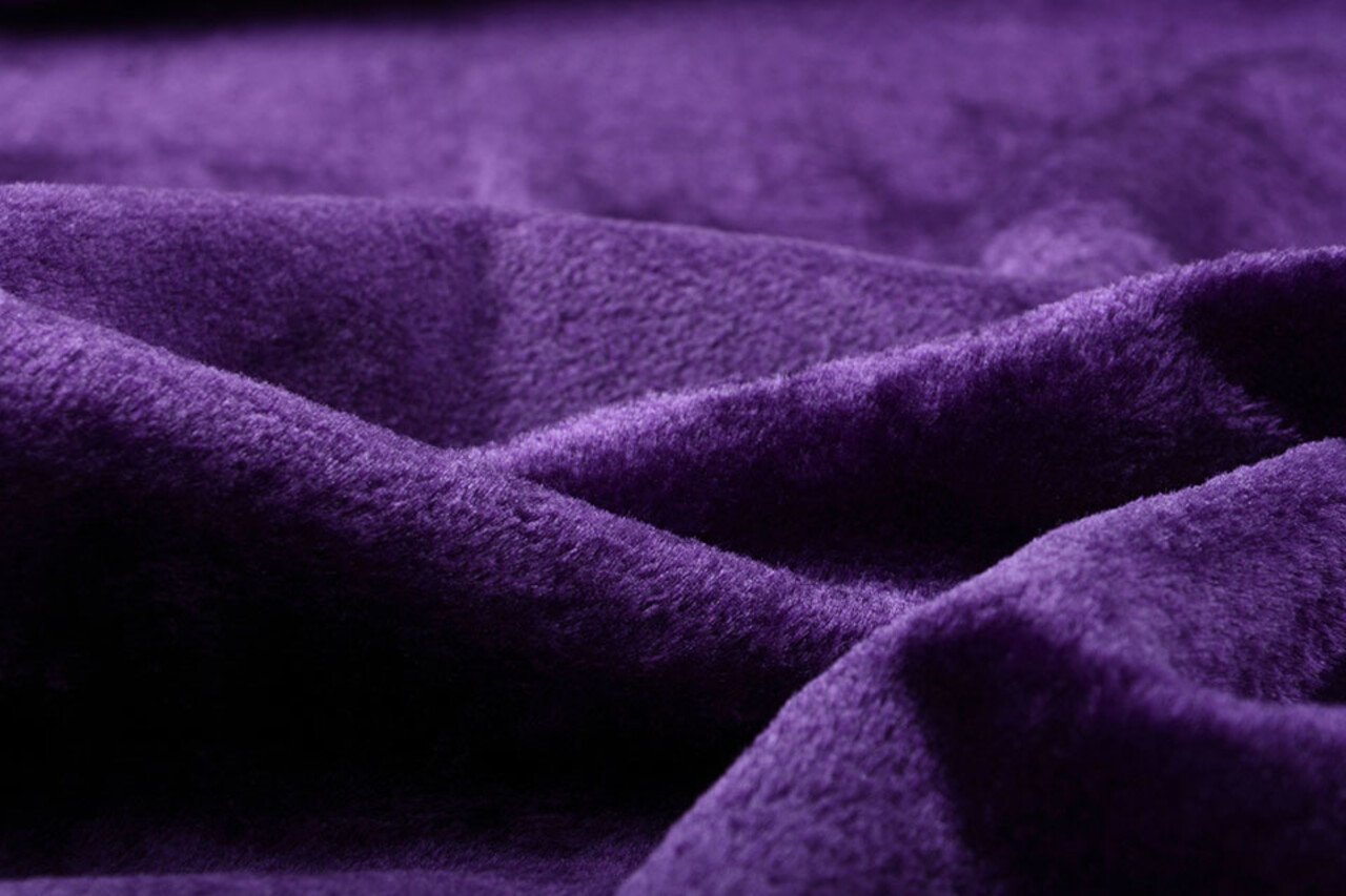 Short-haired Teddy Fur Purple Short-haired Teddy Fur Purple