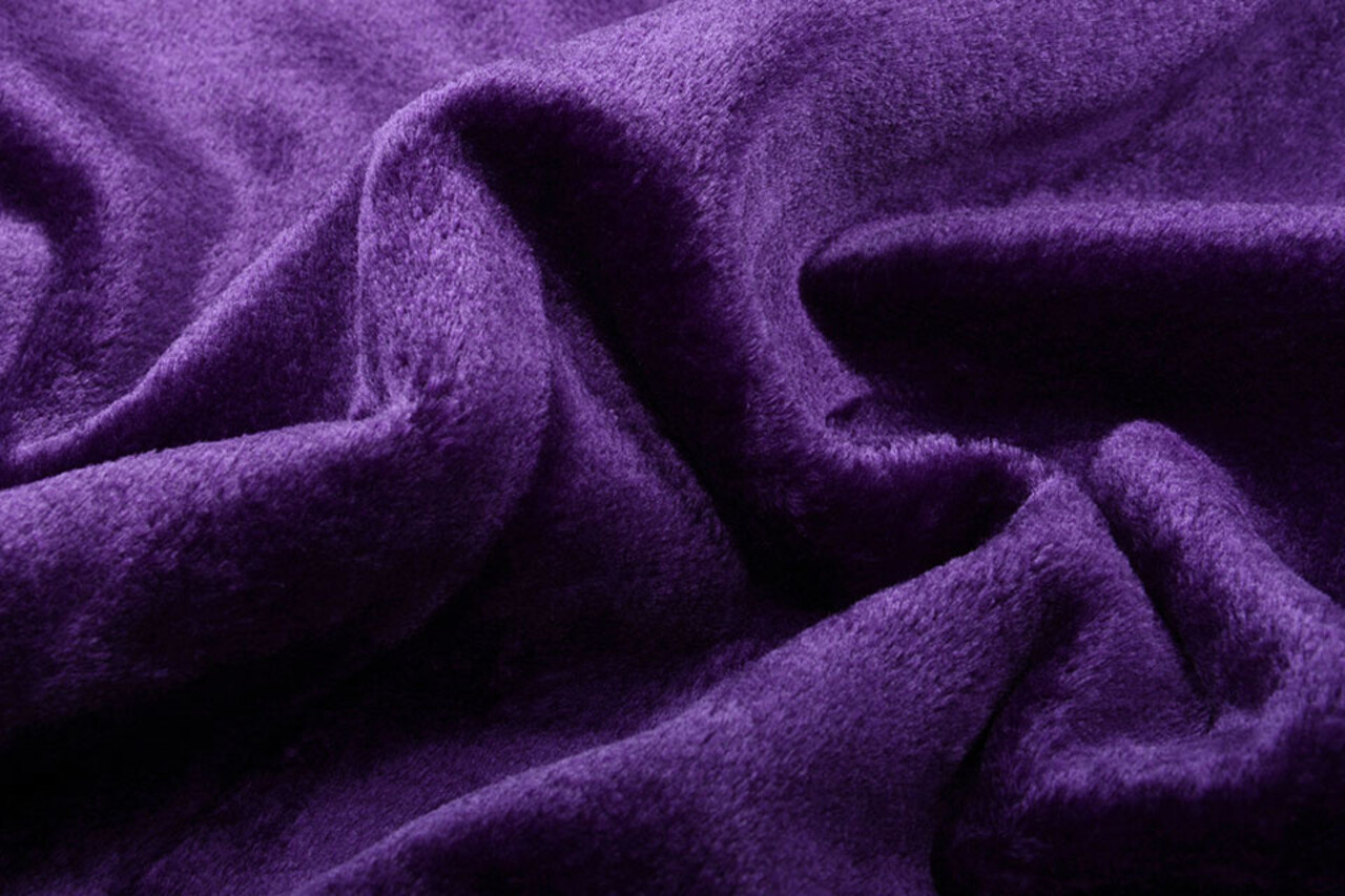 Short-haired Teddy Fur Purple Short-haired Teddy Fur Purple