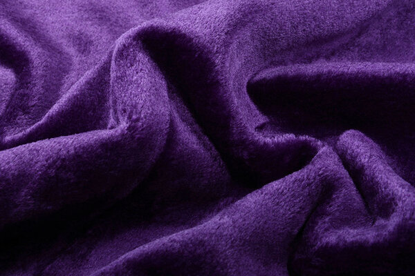 Short-haired Teddy Fur Purple Short-haired Teddy Fur Purple