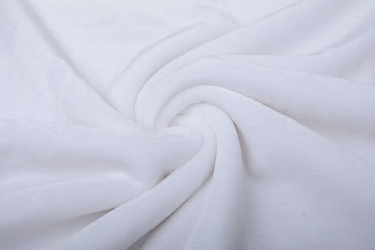 Kortharige Teddy Bont Wit Kortharige Teddy Bont Wit